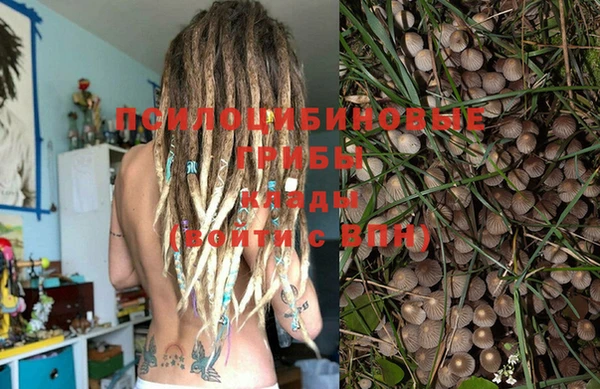 эйфоретик Абаза