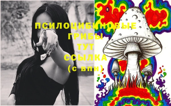 эйфоретик Абаза