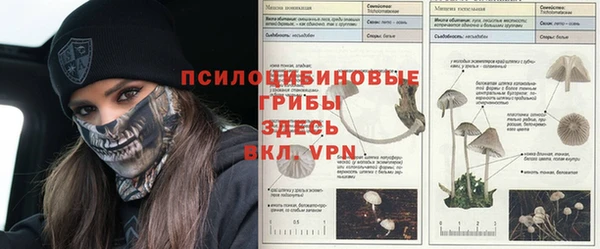 эйфоретик Абаза