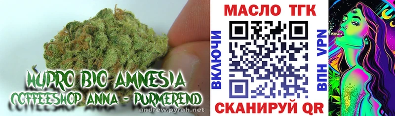 маркетплейс формула  KRAKEN   Кострома  ТГК гашишное масло 