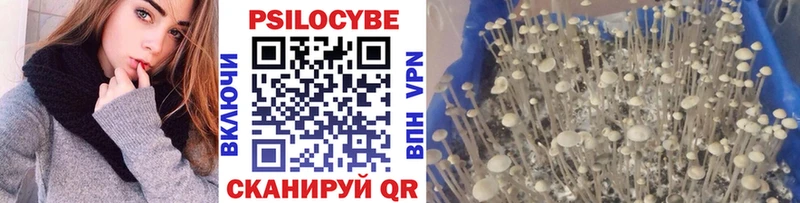 Псилоцибиновые грибы Psilocybine cubensis  Кострома 
